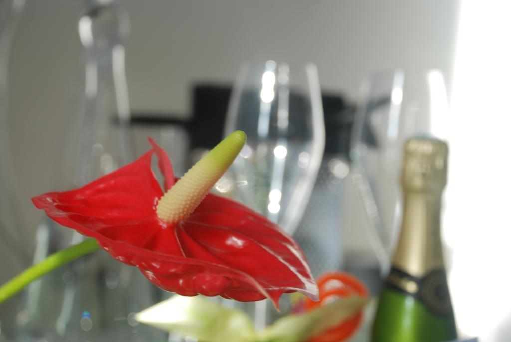 Appartement Prado Borely マルセイユ 部屋 写真